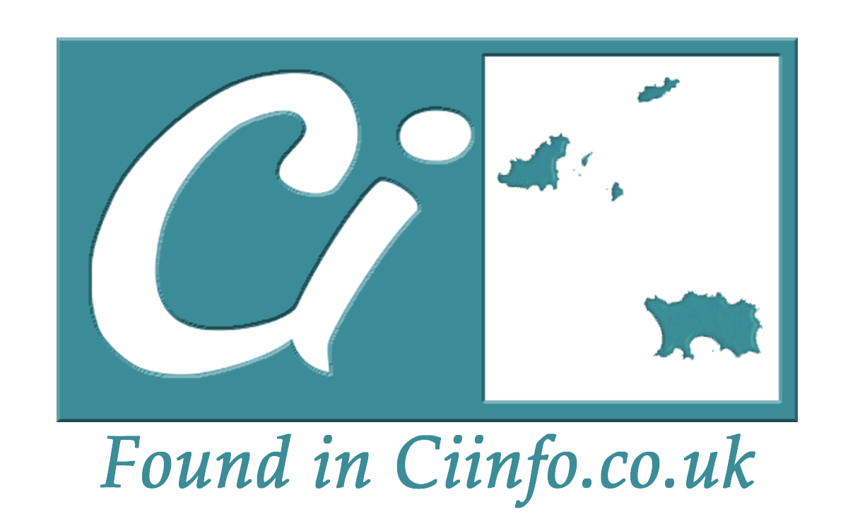 Icon Design by J G for Ciinfo.co.uk | Design #1836674