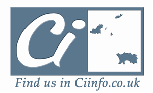 Icon Design by J G for Ciinfo.co.uk | Design: #1836698