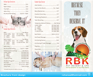 Brochure Design by Rohan Alexander