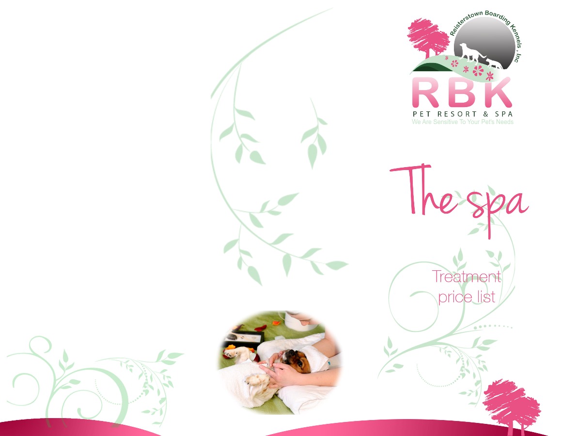 Design de Brochure par BrightBlueApple pour ce projet | Design #1764515