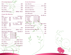 Design de Brochure par BrightBlueApple pour ce projet | Design : #1764517
