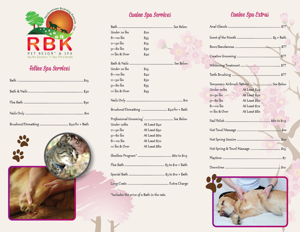 Design de Brochure par Jordan G. pour ce projet | Design #1757270