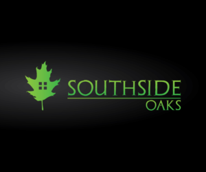 Logo Design by Cut N Cue Media Solutions
