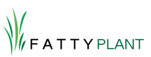 Logo Design by ntico
