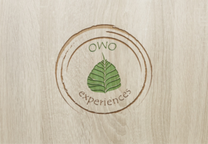 Logo Design by Anooshaa Kachhia for this project | Design: #6801028