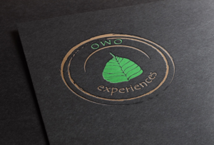 Logo Design by Anooshaa Kachhia for this project | Design: #6801039