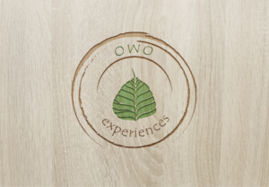 Logo Design by Anooshaa Kachhia for this project | Design: #6801051