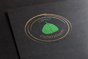 Logo Design by Anooshaa Kachhia for this project | Design: #6801052