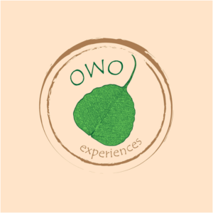 Logo Design by Anooshaa Kachhia for this project | Design: #6811591