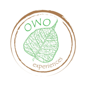 Logo Design by Anooshaa Kachhia for this project | Design: #6821173