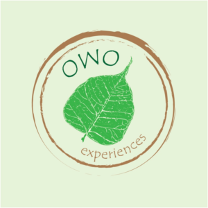 Logo Design by Anooshaa Kachhia for this project | Design: #6821174