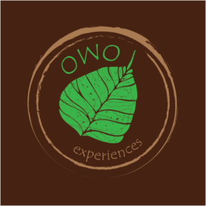 Logo Design by Anooshaa Kachhia for this project | Design: #6821175