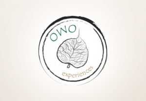 Logo Design by Anooshaa Kachhia for this project | Design: #6829271