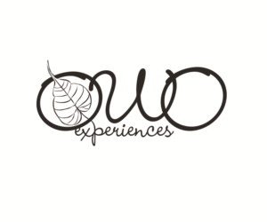 Logo Design by Hot Rod