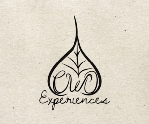 Logo Design by Ana White for this project | Design: #6844511