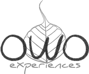 Logo Design by ChrisMoon for this project | Design: #6810535