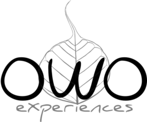 Logo Design by ChrisMoon for this project | Design: #6810545