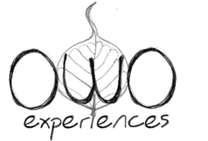 Logo Design by ChrisMoon for this project | Design: #6820026