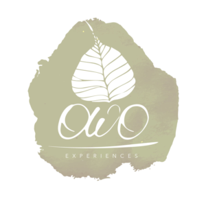 Logo Design by tanvi_99 for this project | Design: #6830889