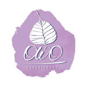 Logo Design by tanvi_99 for this project | Design: #6830900
