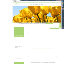 Web Design par junk image pour ce projet | Design #6882033