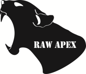 Logo Design by Meraki Design