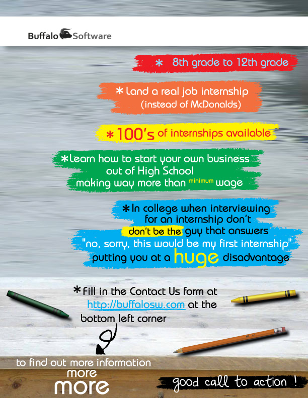 Flyer Design by B__ly for Buffalo Software | Design #1770903