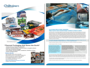Brochure Design by Vicez