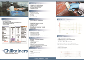Brochure Design by Unique Dezignerssz