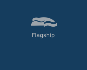 Logo Design by iDianadiana for Flagship Resources, LLC | Design: #6990320