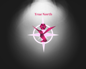 Logo Design by Winsy