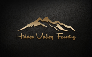Logo Design by cooldesign1