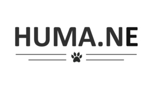 Logo Design by BlueH92 for this project | Design #6793227