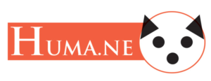 Logo Design by yoanbigjoe for this project | Design: #6798602