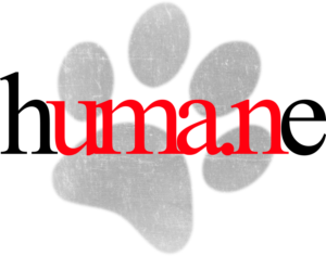 Logo Design by Penguin