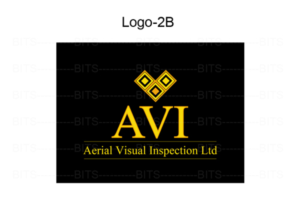 Logo Design by bits-info-services for aerial visual inspection ltd. | Design: #6903928