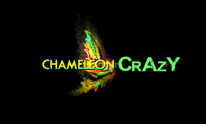 Logo Design by LaRuz Designs