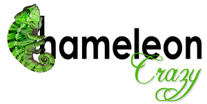 Logo Design by sesyjane for this project | Design: #1756399