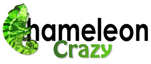 Logo Design by sesyjane for this project | Design: #1770107
