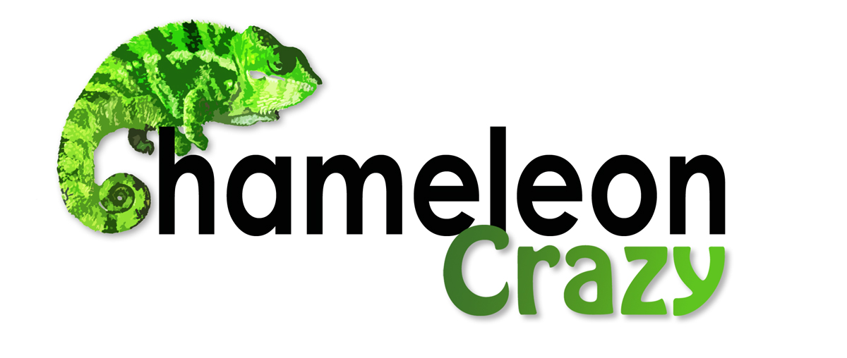 Logo Design by sesyjane for this project | Design #1770127