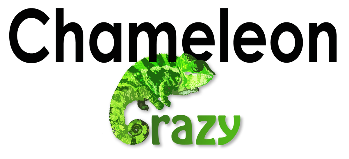 Logo Design by sesyjane for this project | Design #1770158