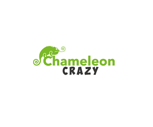 Logo Design by JBDesign for this project | Design: #1770280
