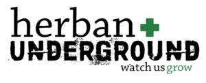 Logo Design by Sarah Novotne