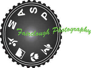 Logo Design by Fiachra Design