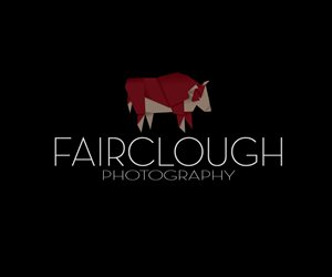 Logo Design by Archeopteryx