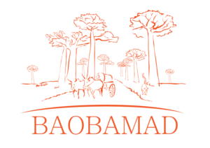 Illustration Design by Logogofamily