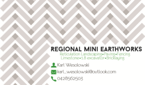 Business Card Design by cristinagrr for Regional mini earthworks | Design #6876494