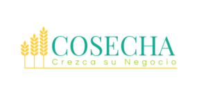 Logo Design by GiuliaF