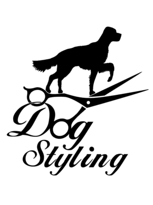 Logo Design by zoxo69