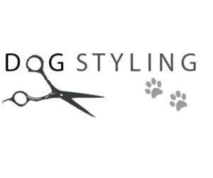 Logo Design by ntico